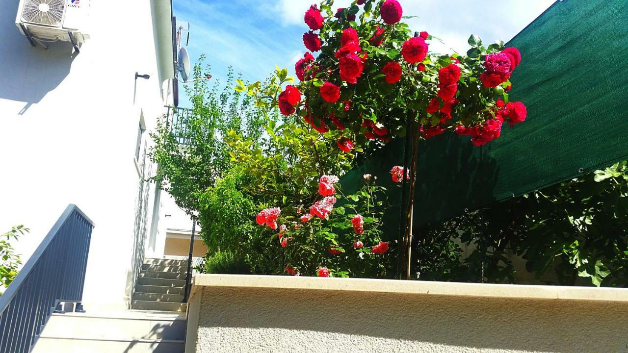 Adriatic Pearl Korcula Apartments מראה חיצוני תמונה